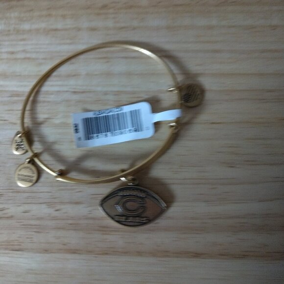 Alex and Ani CHICAGO BEARS NFL Logo Gold Color Charm Bracelet NFL  NEW Football - Picture 5 of 5